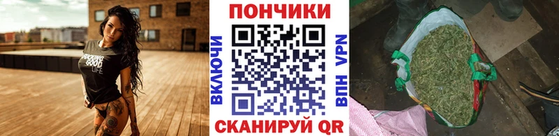 Купить наркотик аптеки Камызяк МАРИХУАНА Амфетамин ГАШ Псилоцибиновые грибы A PVP МЕФ