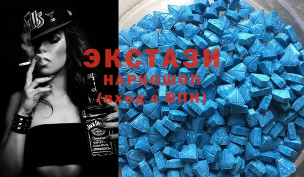 стаф Аркадак