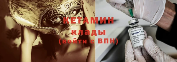 стаф Аркадак