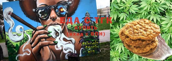стаф Аркадак