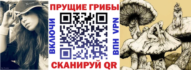 Галлюциногенные грибы Psilocybe  гидра как зайти  Камызяк 