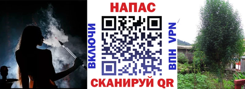 сколько стоит  Камызяк  Бошки марихуана THC 21% 